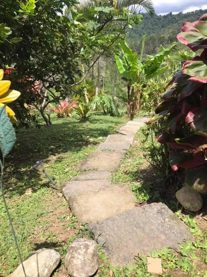 Navarro Mountain Cartago Exterior photo
